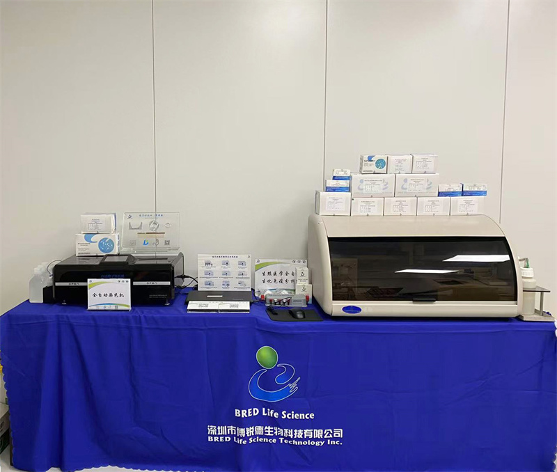 开云体云app官网入口