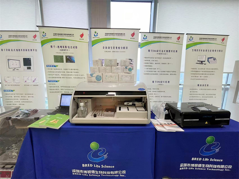 开云体云app官网入口