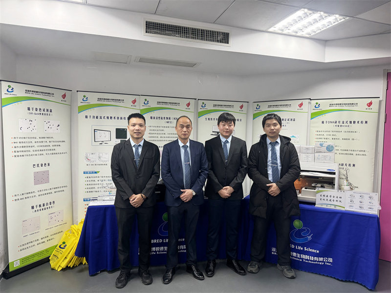 开云体云app官网入口