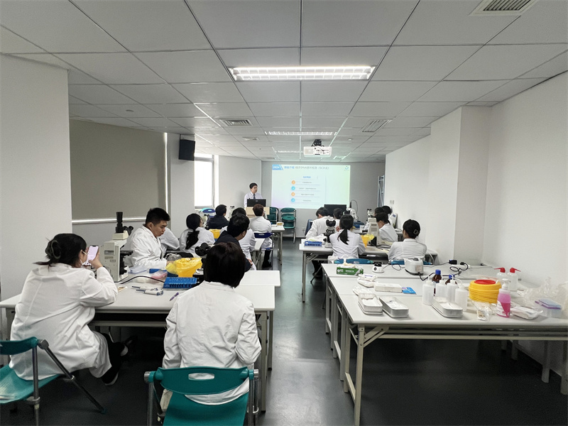 开云体云app官网入口