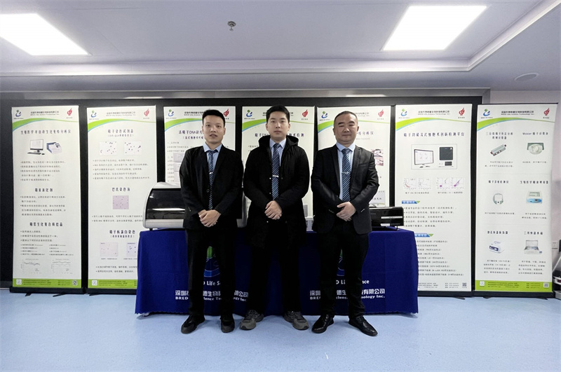 开云体云app官网入口