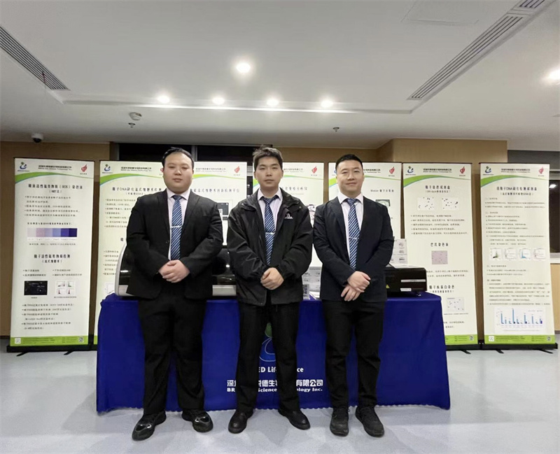 开云体云app官网入口