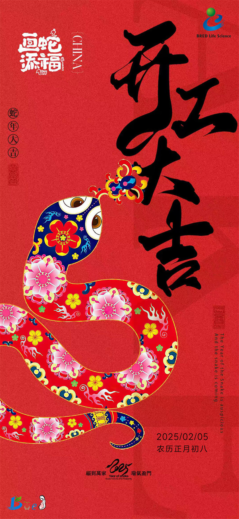 开云体云app官网入口