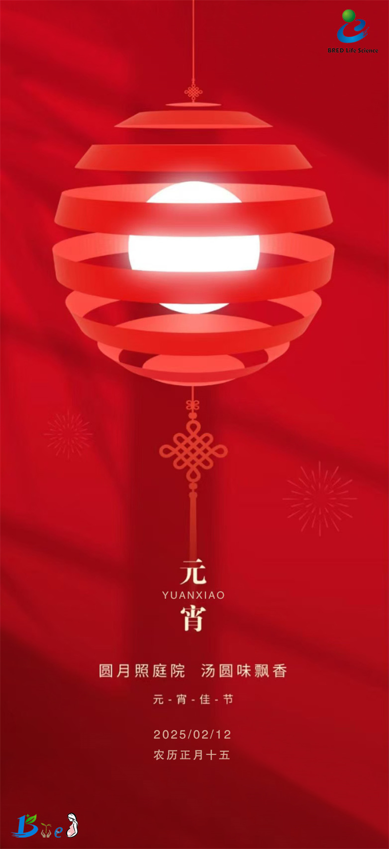 开云体云app官网入口