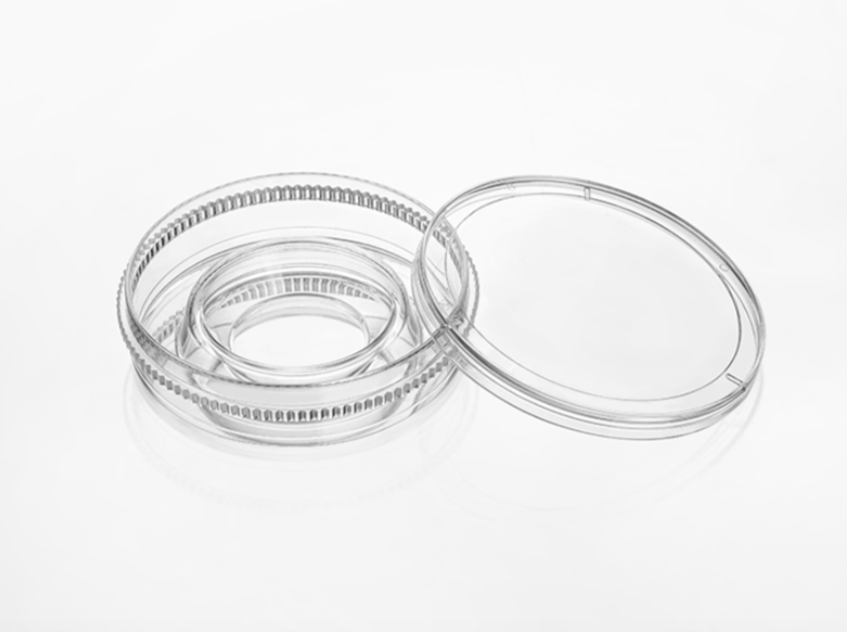 开云体云app官网入口