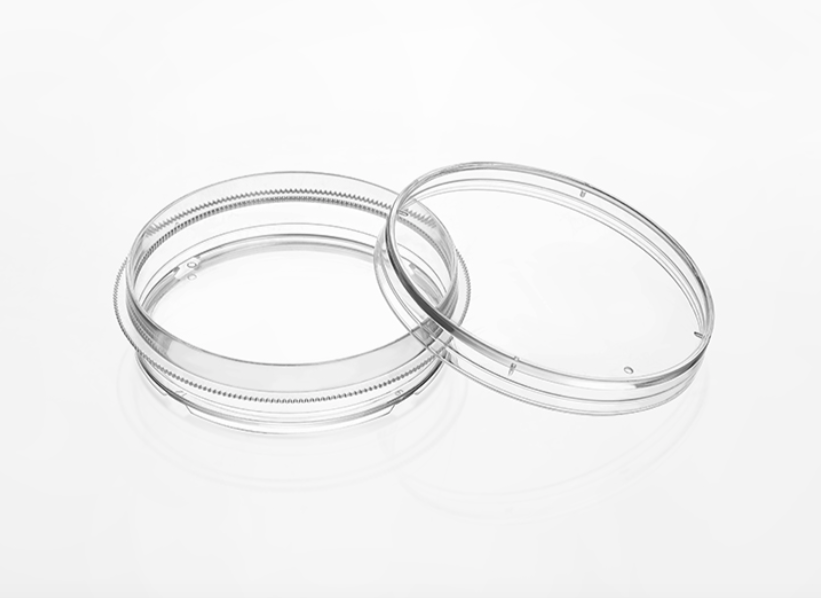 开云体云app官网入口