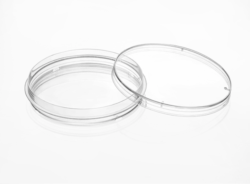 开云体云app官网入口