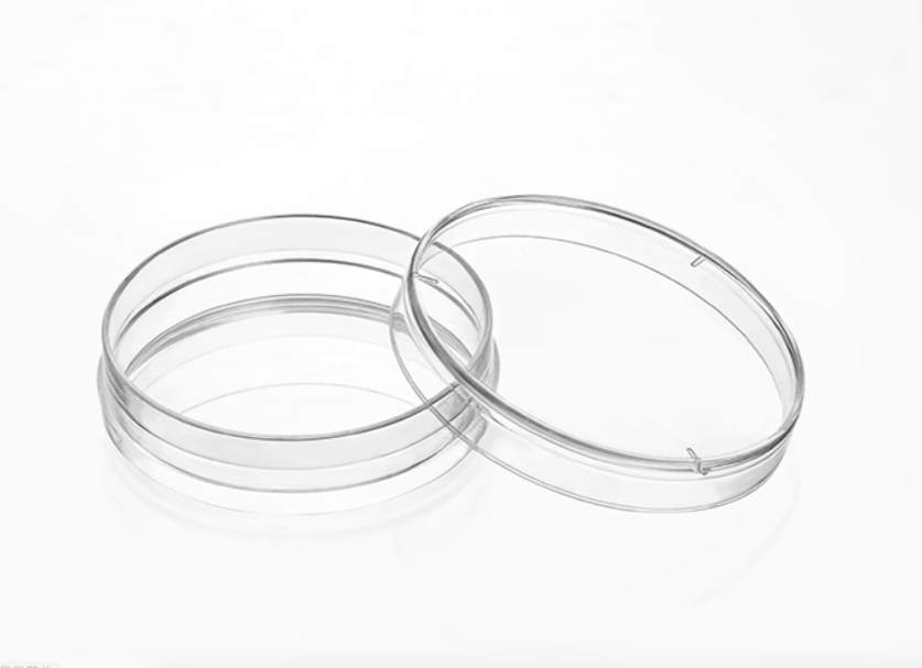 开云体云app官网入口