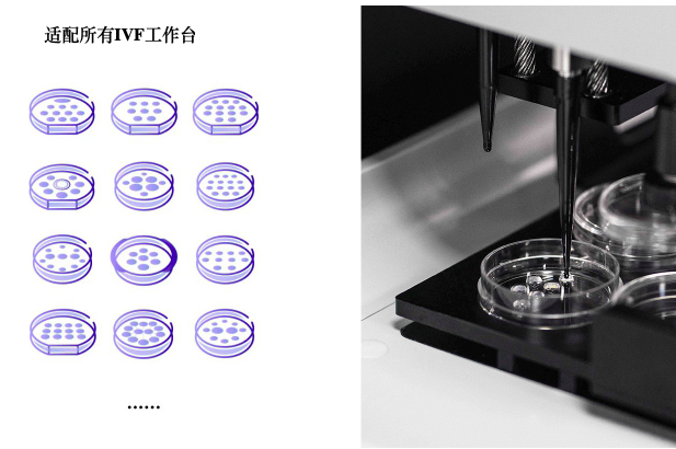 开云体云app官网入口