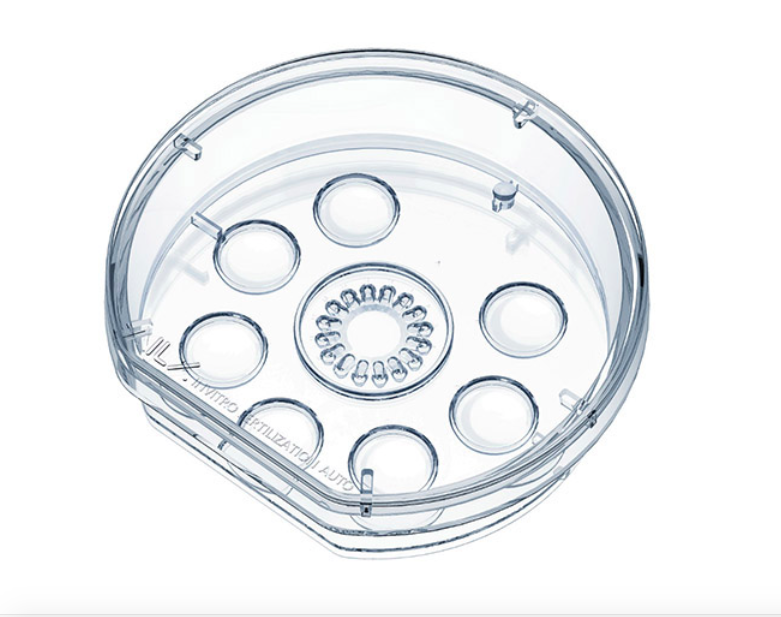 开云体云app官网入口