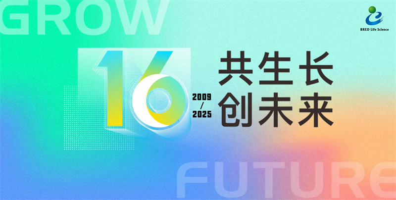 开云体云app官网入口