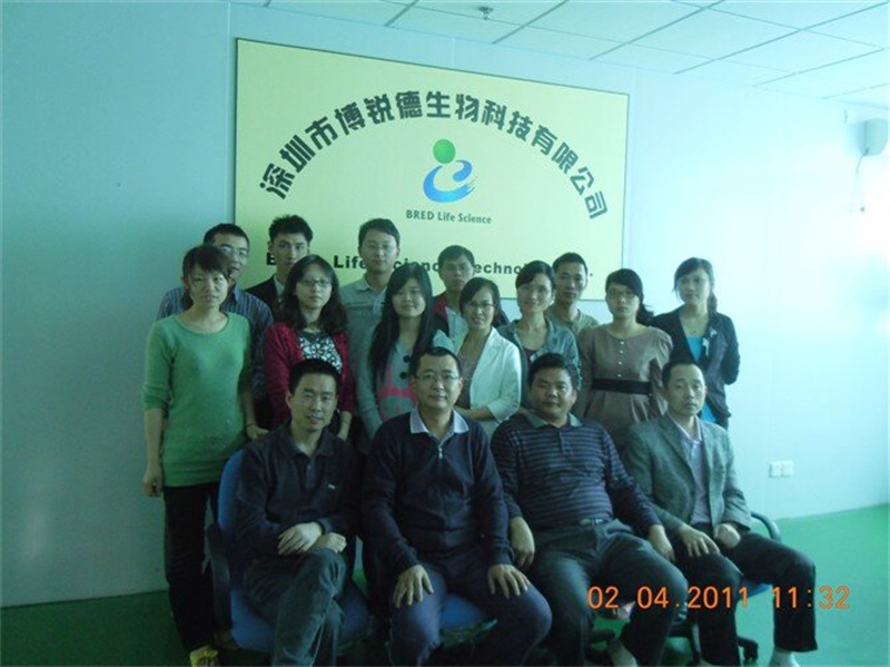 开云体云app官网入口