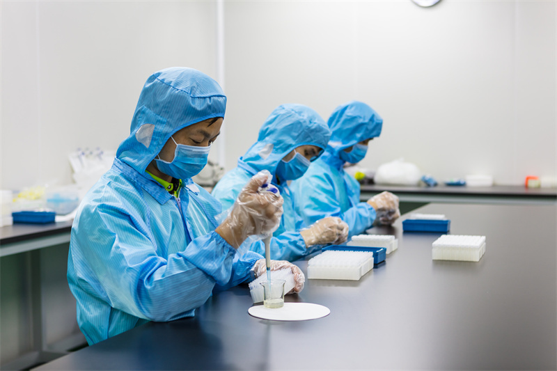 开云体云app官网入口