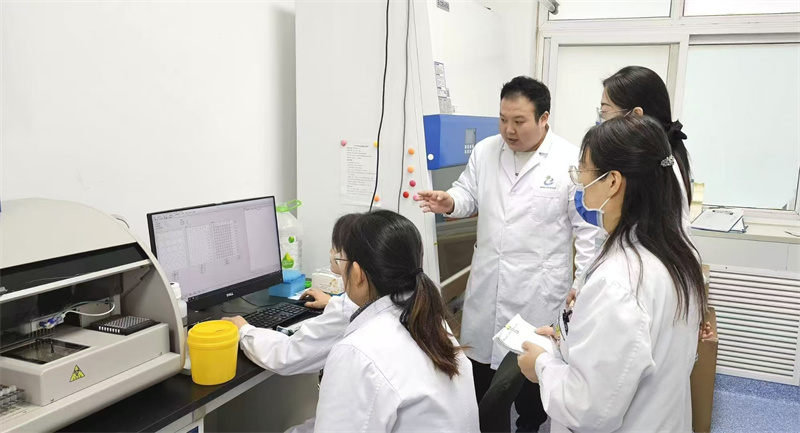 开云体云app官网入口