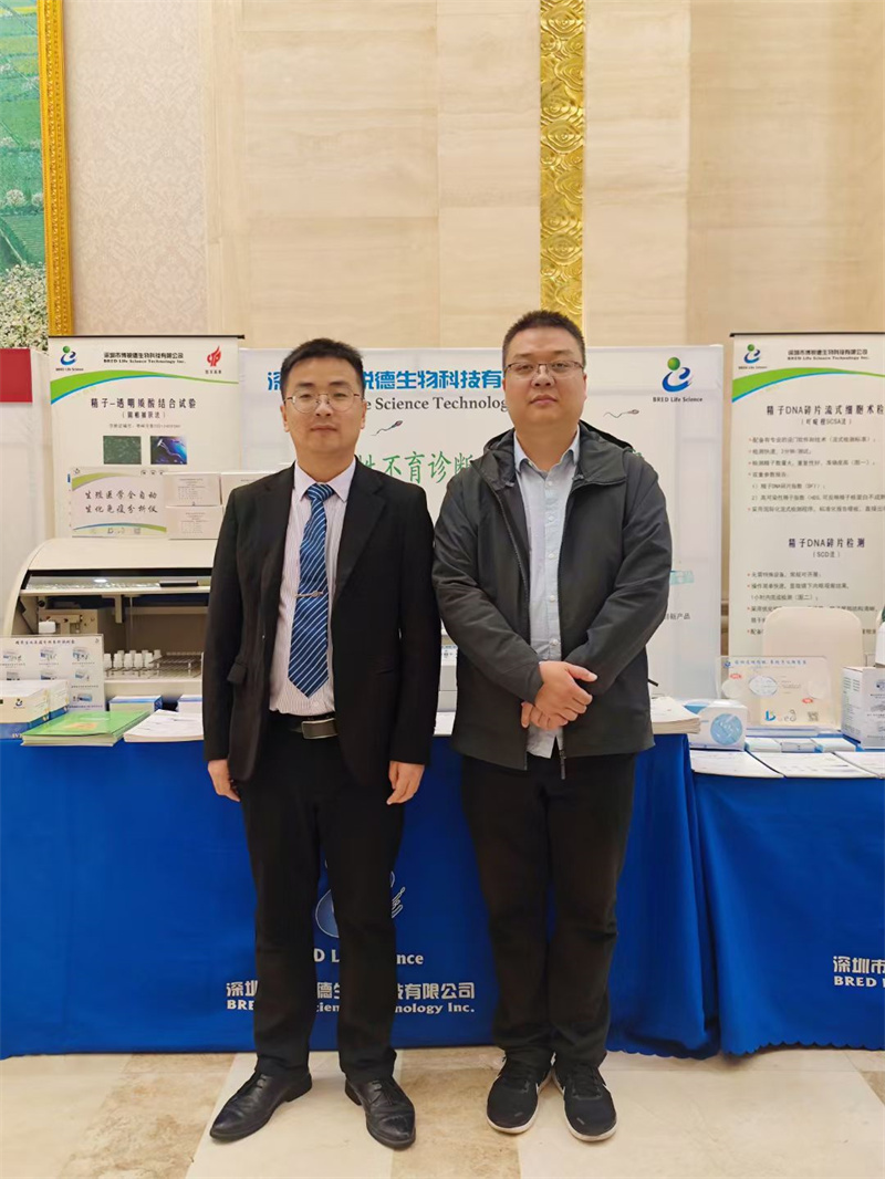 开云体云app官网入口