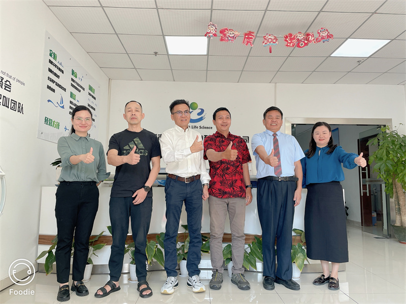 开云体云app官网入口