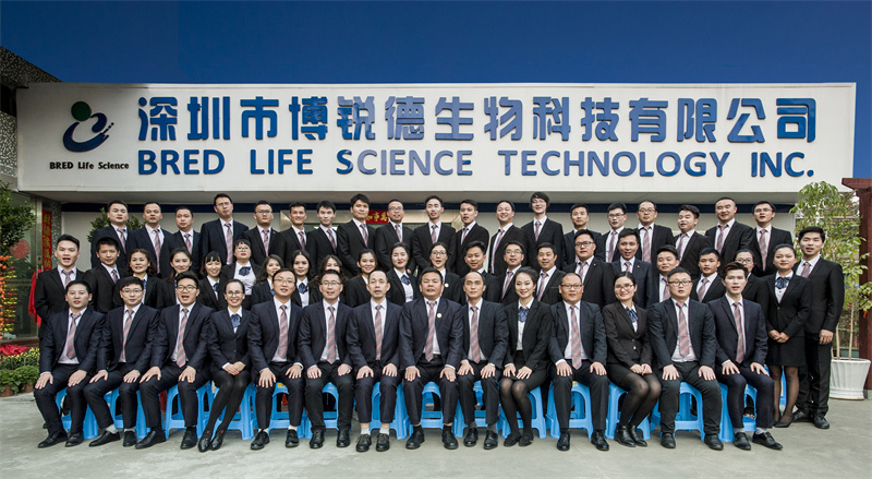 开云体云app官网入口