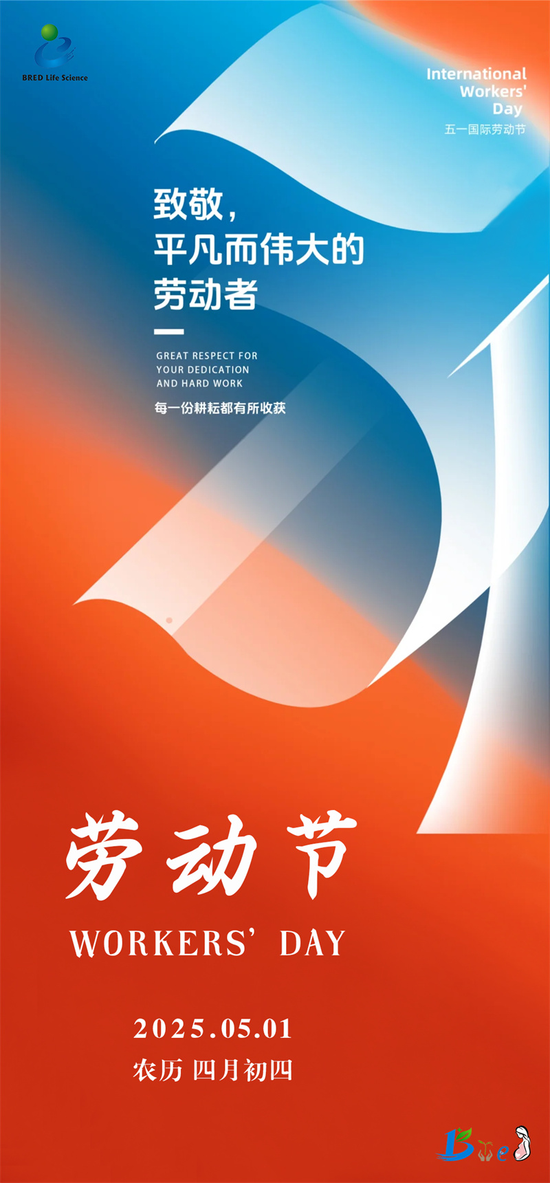 开云体云app官网入口