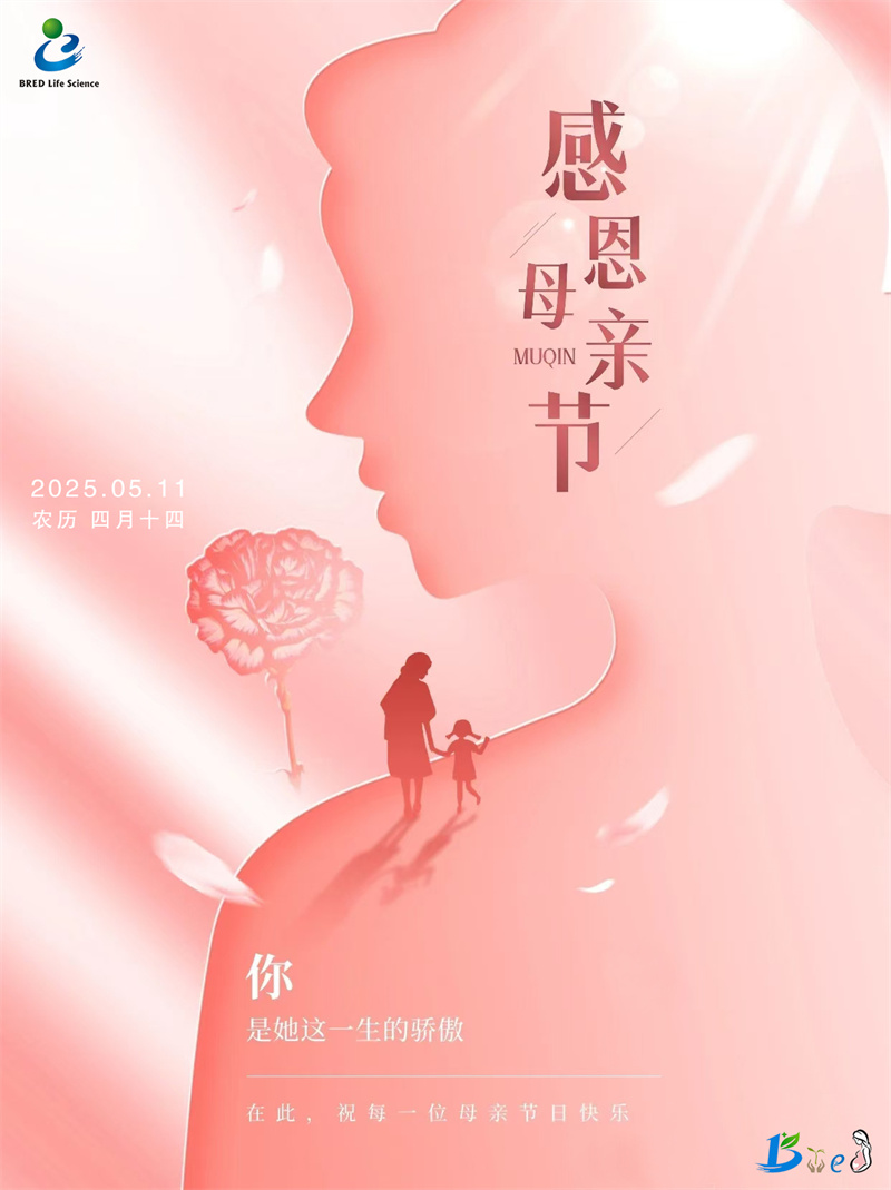 开云体云app官网入口