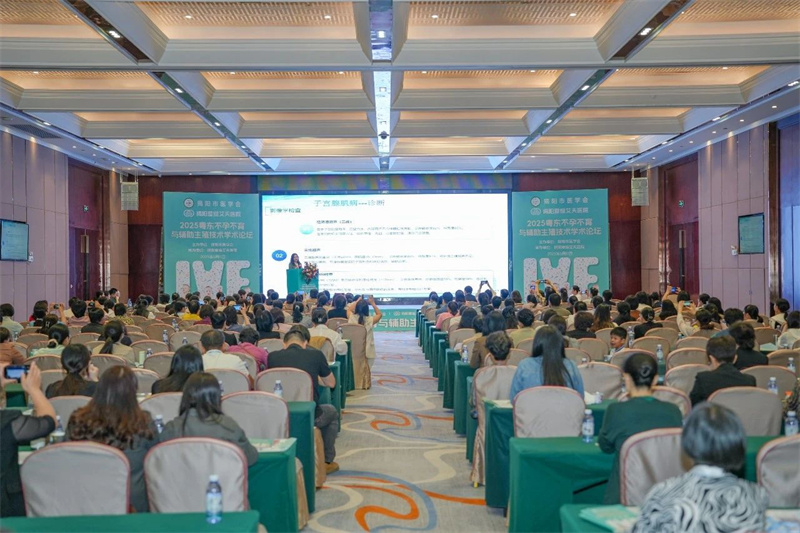 开云体云app官网入口