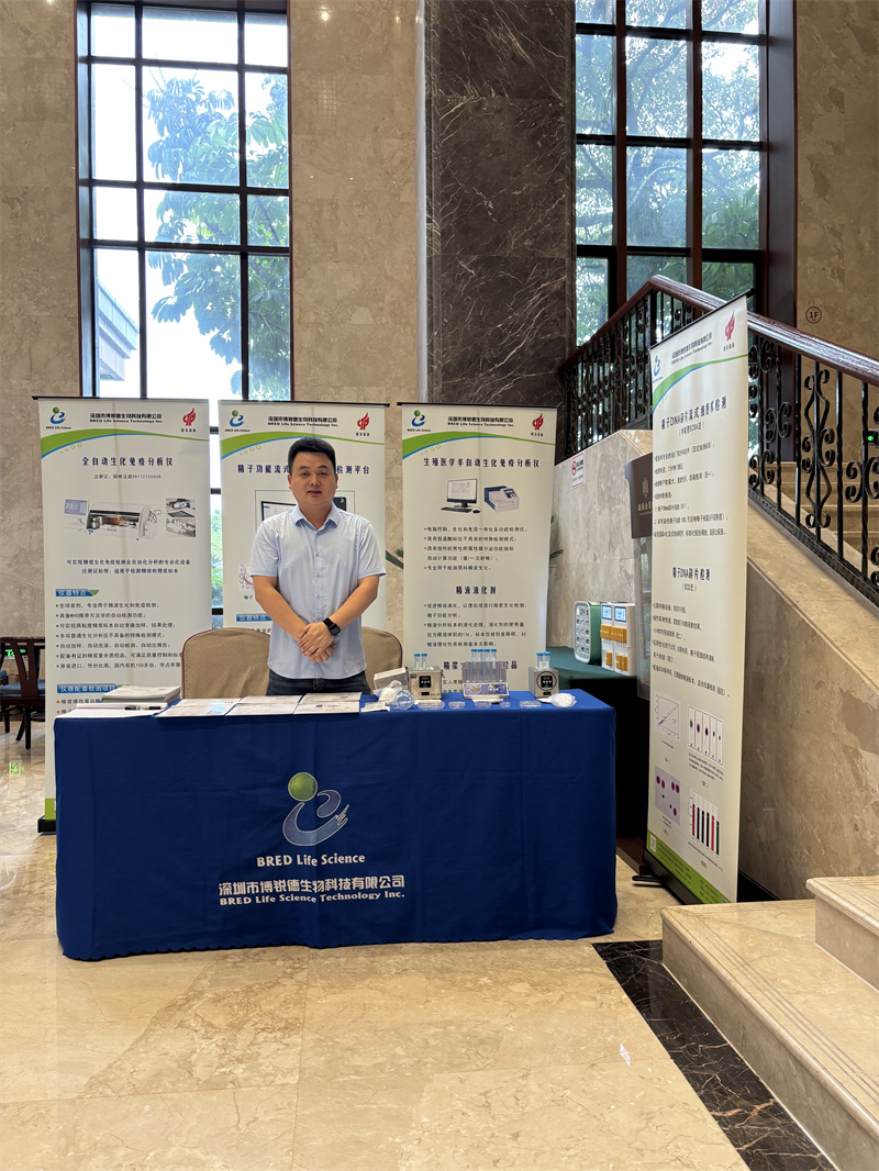 开云体云app官网入口