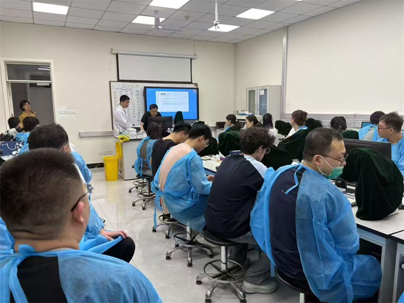 开云体云app官网入口