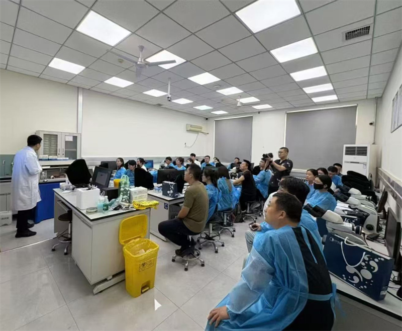 开云体云app官网入口