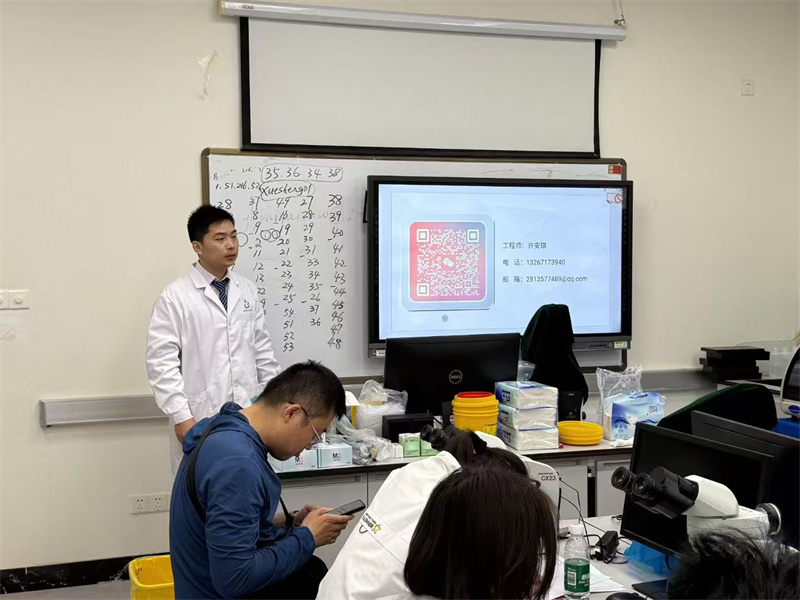 开云体云app官网入口