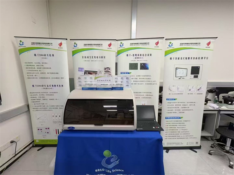 开云体云app官网入口