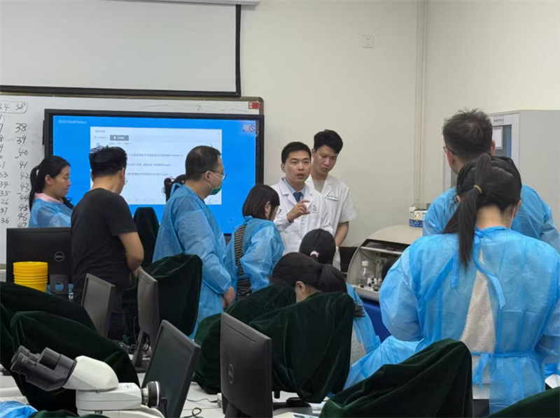 开云体云app官网入口