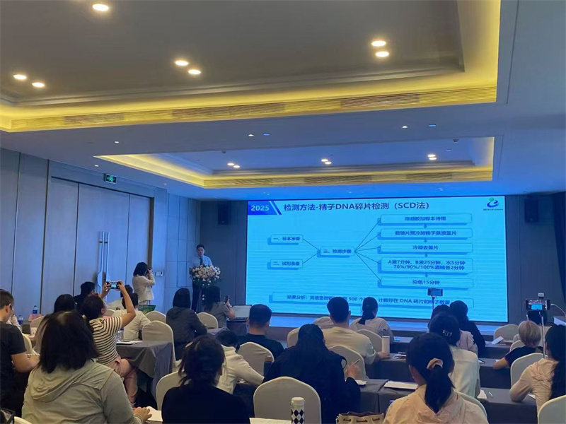 开云体云app官网入口