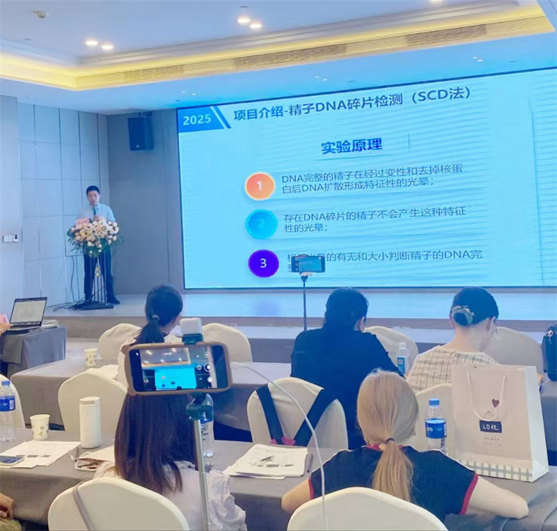 开云体云app官网入口