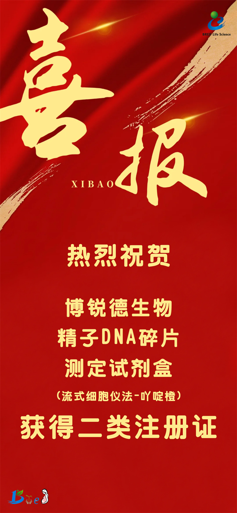 开云体云app官网入口