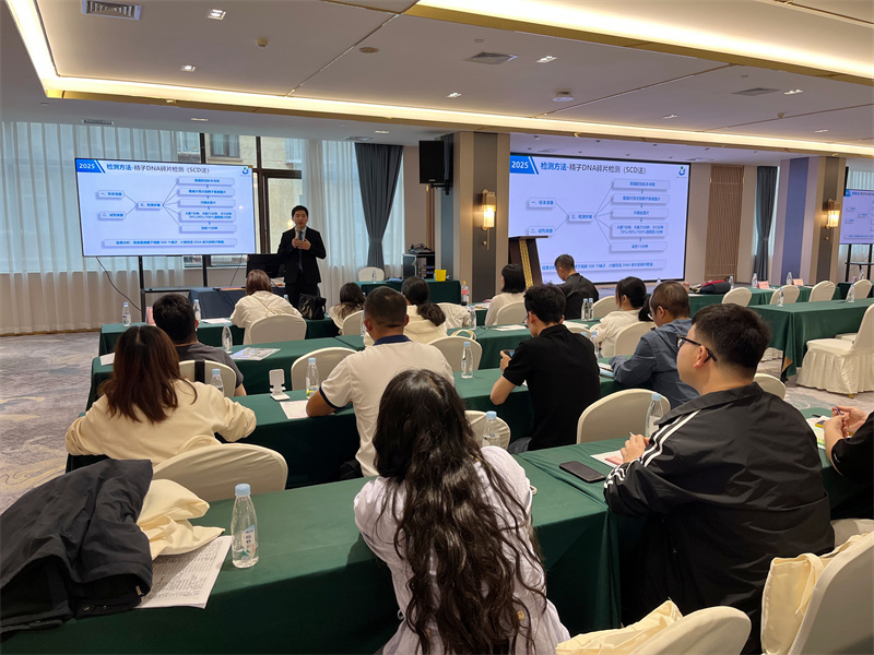 开云体云app官网入口