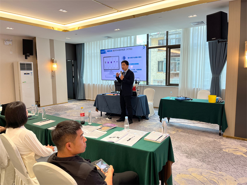 开云体云app官网入口