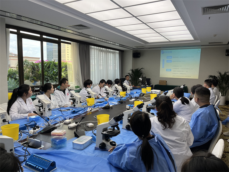 开云体云app官网入口