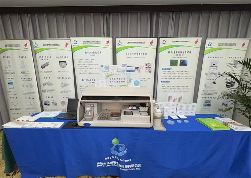 开云体云app官网入口