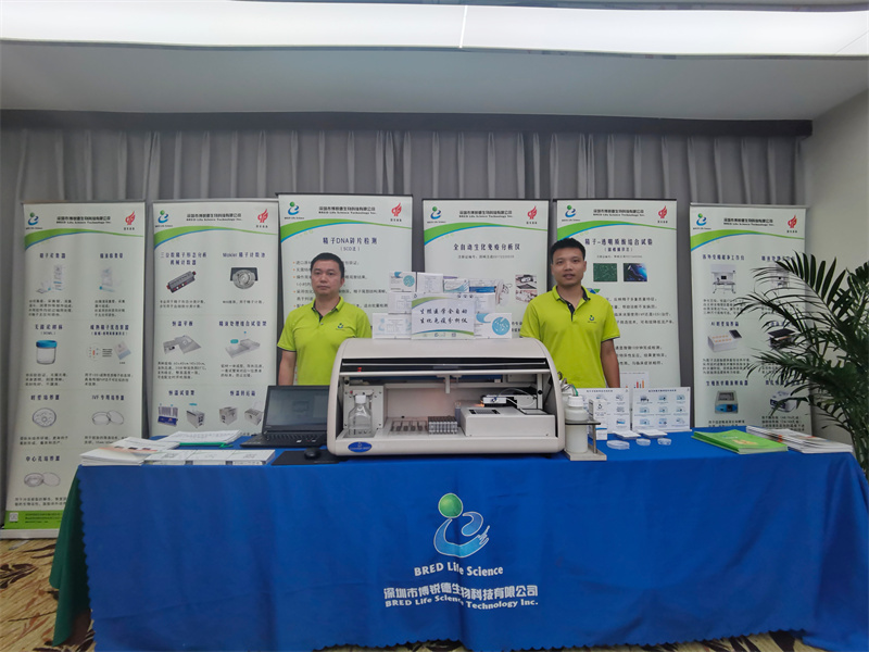 开云体云app官网入口