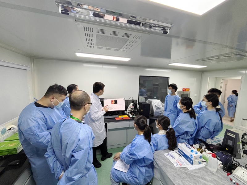 开云体云app官网入口