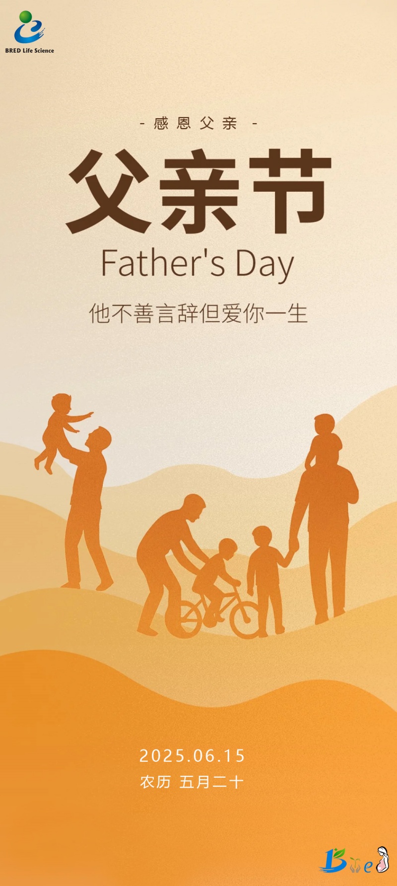 开云体云app官网入口