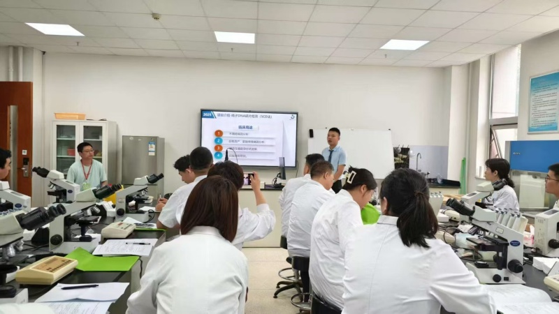 开云体云app官网入口