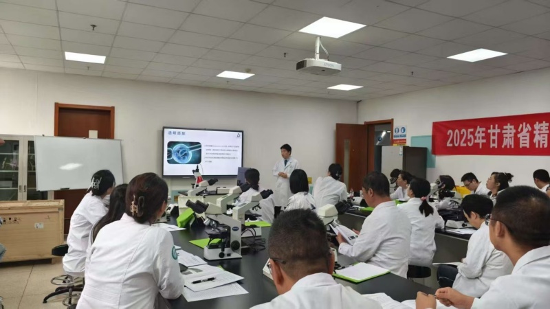 开云体云app官网入口