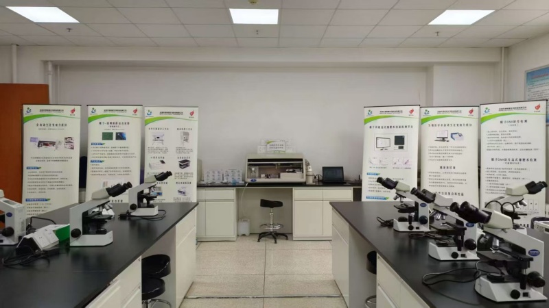 开云体云app官网入口