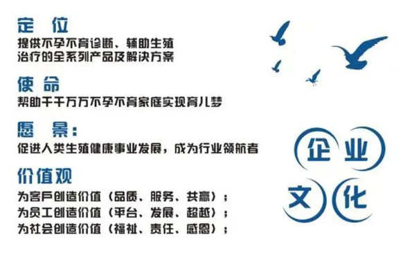 开云体云app官网入口