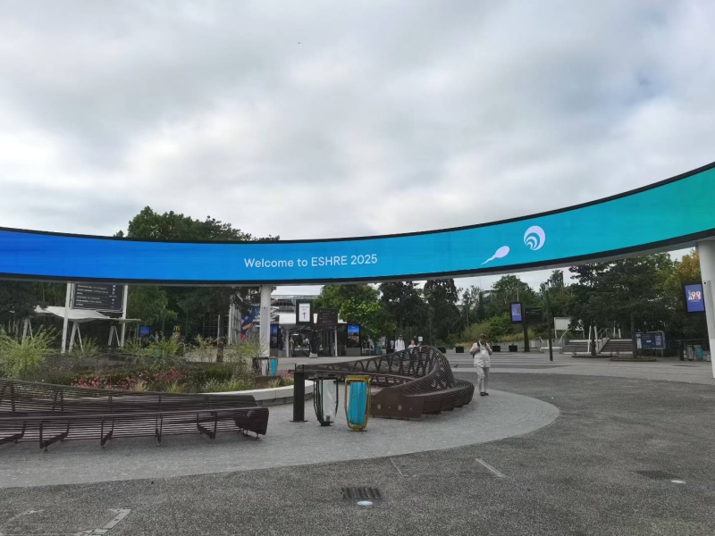 开云体云app官网入口