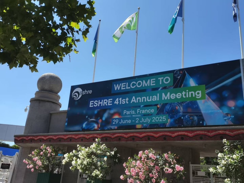 开云体云app官网入口