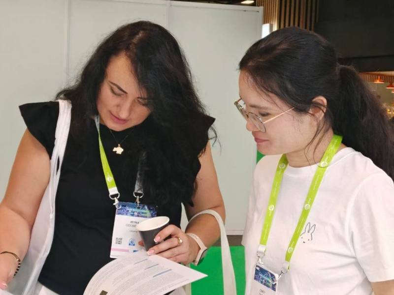 开云体云app官网入口