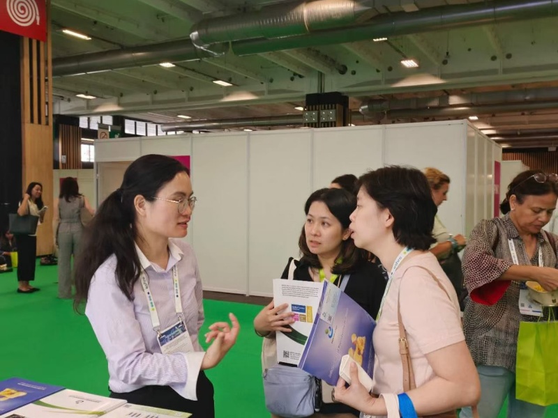 开云体云app官网入口