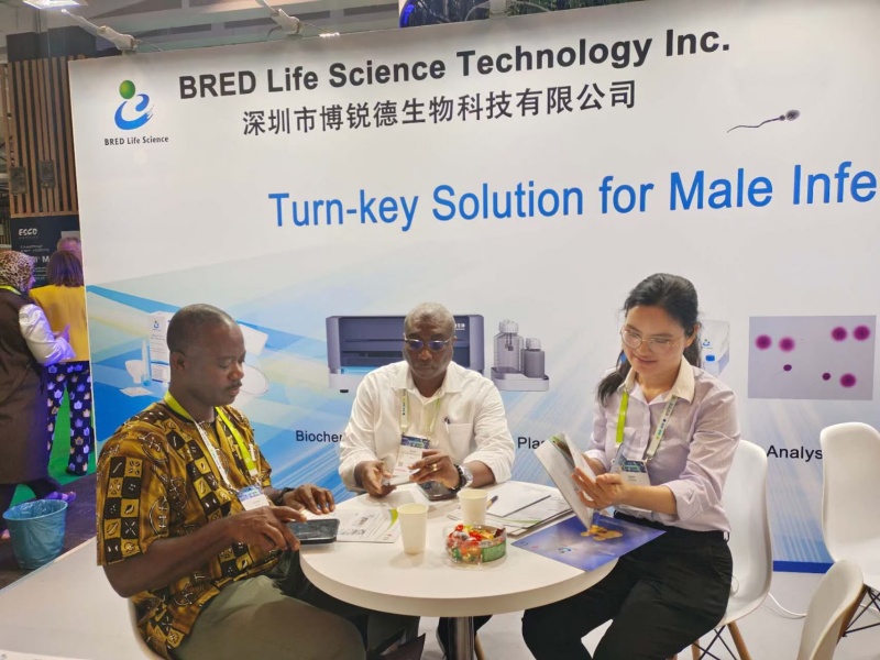 开云体云app官网入口