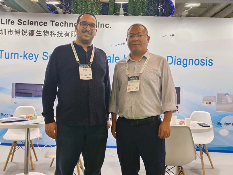 开云体云app官网入口